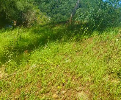 柳關(guān)欒盧鉛鋅礦|治理排土“瘡疤”，繪就綠色畫卷